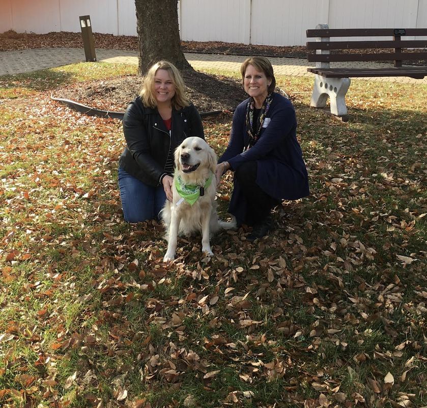 Snitker Goldens Golden Retriever Trained Service Dog Vincent Veterans Moving Forward