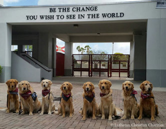 Snitker Goldens, Lutheran Church Charities, K-9 Comfort Dog Ministry, Parkland, Florida
